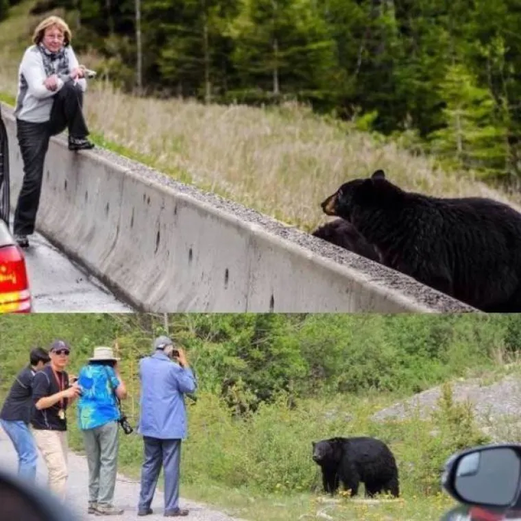 NE ŽELITE SE NAĆI U BLIZINI OVIH PAMETNJAKOVIĆA: Opasni su po sebe i okolinu, ali ih je sa sigurne udaljenosti urnebesno gledati
