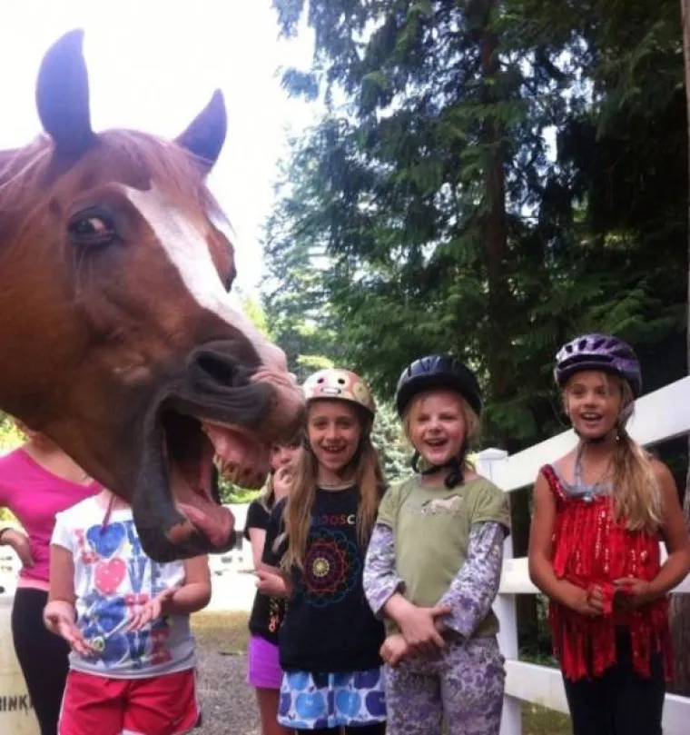 ŽIVOTINJE MOGU BITI PRAVI ZLOBNICI: Odlučile pokvariti fotografije i nepozvane uskočile u kadar