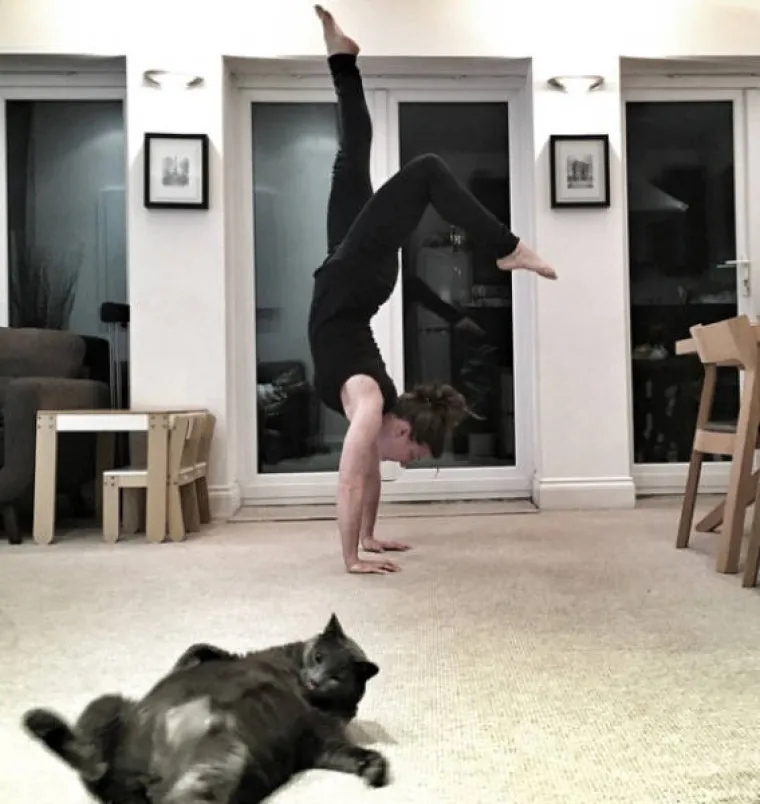 ŽIVOTINJE MOGU BITI PRAVI ZLOBNICI: Odlučile pokvariti fotografije i nepozvane uskočile u kadar