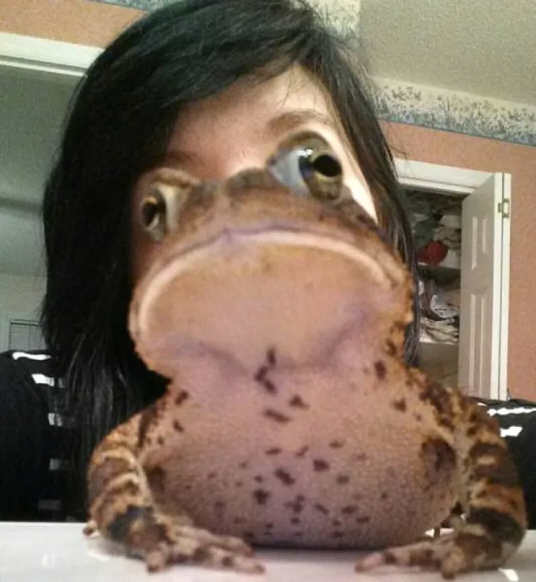 ŽIVOTINJE MOGU BITI PRAVI ZLOBNICI: Odlučile pokvariti fotografije i nepozvane uskočile u kadar