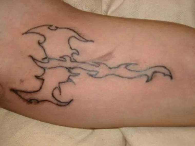 TATOO MAJSTOR IZ HORORA: Ne mijenja igle, a stil mu je pa, malo je reći jednostavan