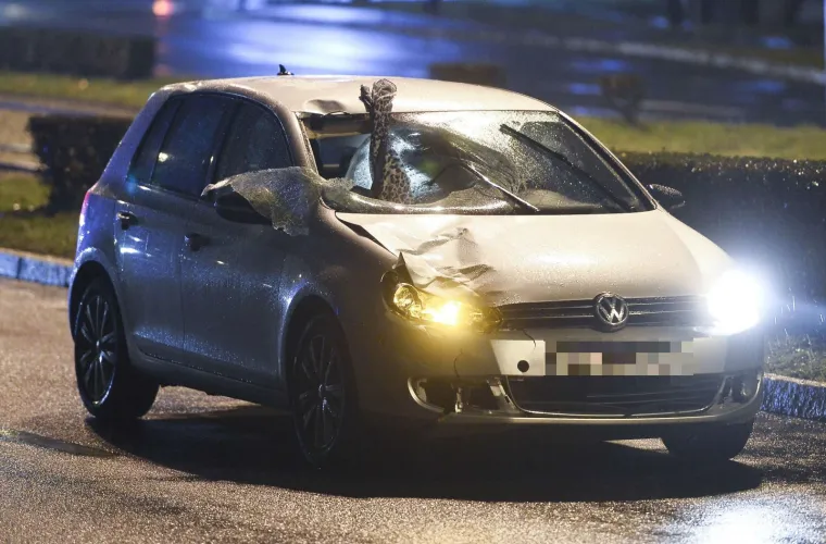 TRAGEDIJA KOD FOLNEGOVIĆEVOG NASELJA U ZAGREBU: Pje&scaron;akinja na mjestu poginula pri prelasku ceste