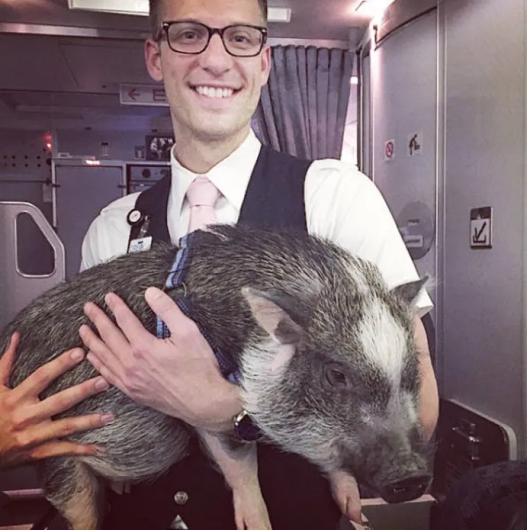 U ZRAKOPLOVE PU&Scaron;TAJU STVARNO SVAKAKVE ŽIVOTINJE: Film 'Zmije u avionu' mogao bi dobiti i nastavak