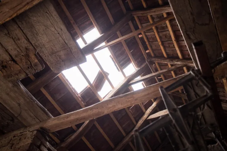 Photo: Davor Puklavec/PIXSELL