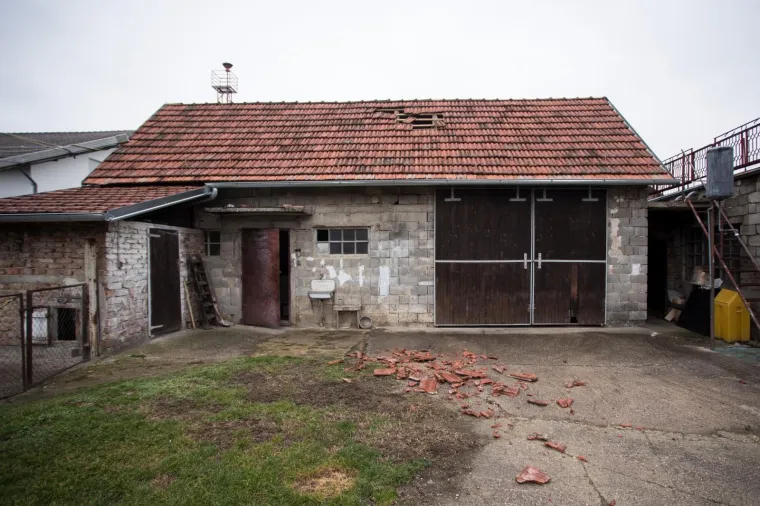 Photo: Davor Puklavec/PIXSELL