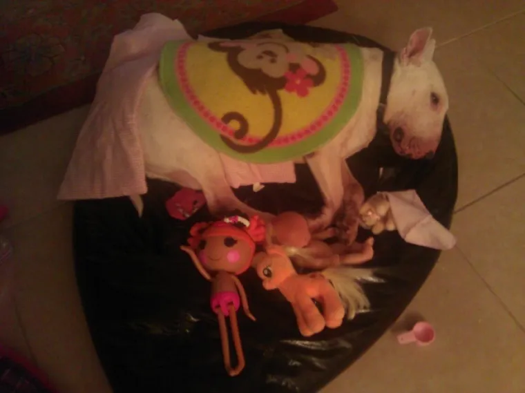 PRESLATKI SAVEZNICI: Žao nam je &scaron;to vam to moramo reći, ali ljubimci i djeca su se udružili protiv vas