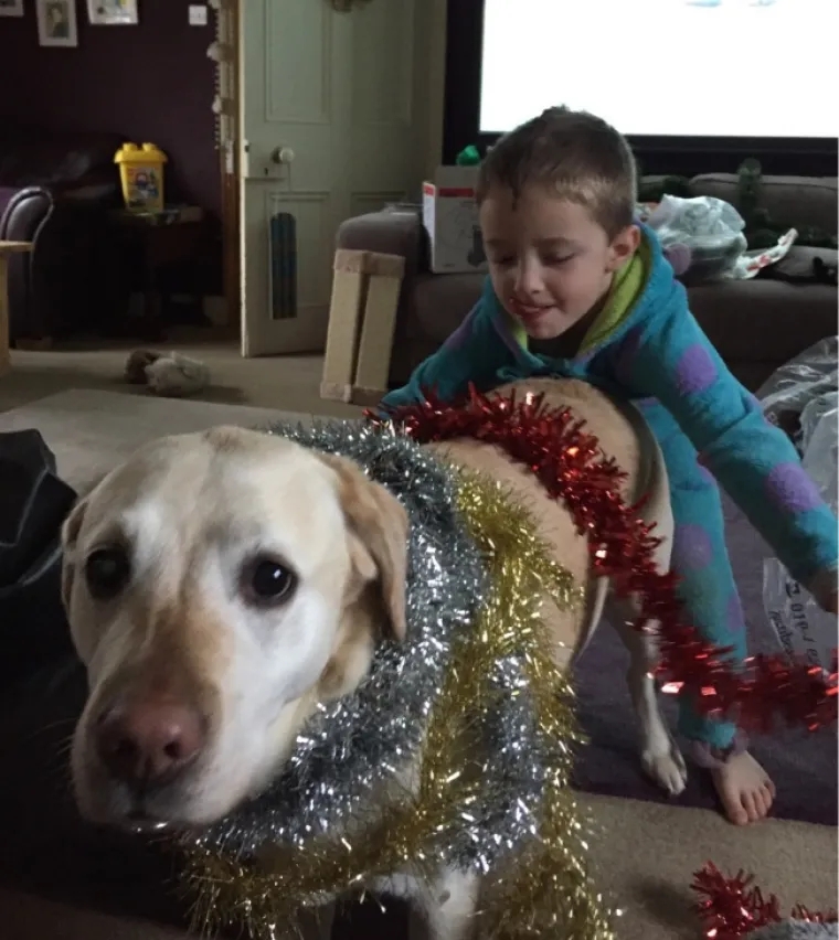 PRESLATKI SAVEZNICI: Žao nam je &scaron;to vam to moramo reći, ali ljubimci i djeca su se udružili protiv vas