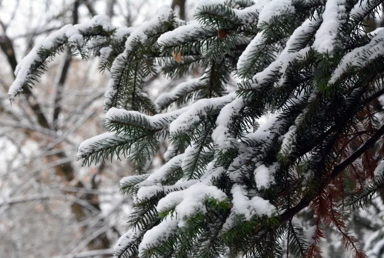 Snijeg koji je u vi&scaron;e navrata padao tijekom dana zabijelio je Slavonski Brod