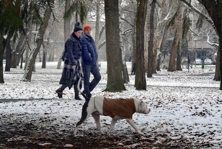 Snijeg koji je u vi&scaron;e navrata padao tijekom dana zabijelio je Slavonski Brod