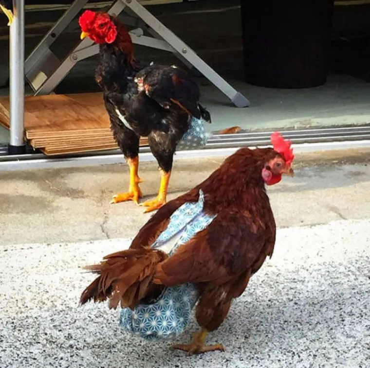 HTJELI SU POMOĆI LJUDSKOJ VRSTI SA SVOJIM IZUMIMA: Nisu se ba&scaron; proslavili, na kraju su postali predmetom sprdnje