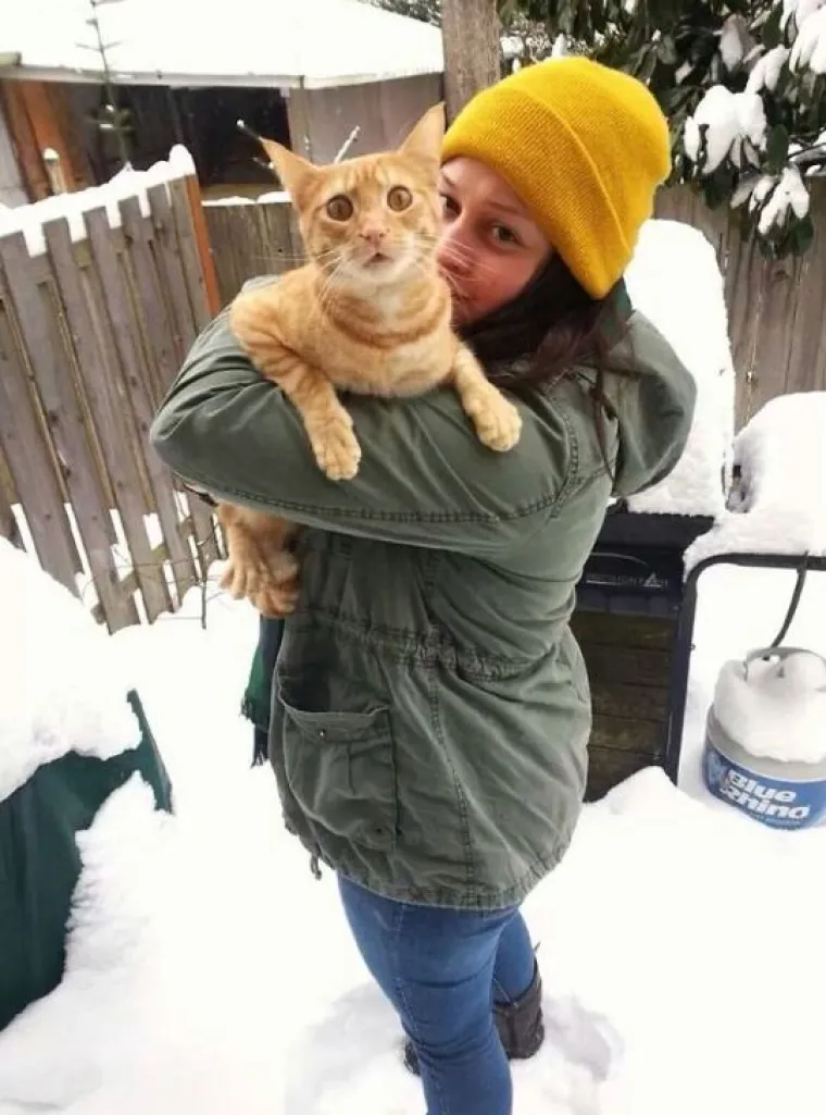 Kućni ljubimci prvi put na snijegu: psi odu&scaron;evljeni, mačke prestravljene!