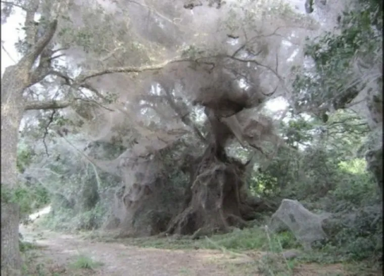 ČIM SU VIDJELI OVE PRIZORE POBJEGLI SU GLAVOM BEZ OBZIRA: Jeste li hrabriji ili i vi odmah pomislite: 'Hvala, ali ne hvala'