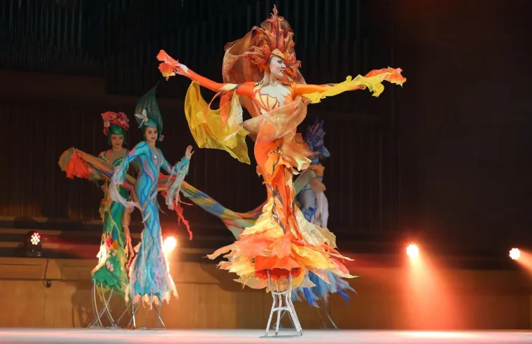 Cirkus je prije više od 50 godina osnovao režiser A.G. Arnold.