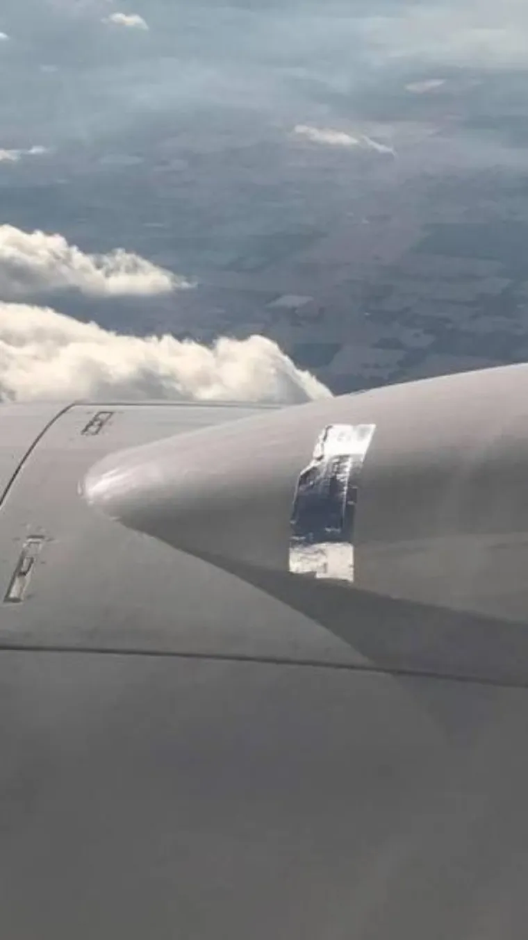 NEKI TVRDE DA SU IM RJE&Scaron;ENJA SELJAČKA, ALI AKO RADE... Sna&scaron;li se kako najbolje znaju pa ih neki zbog toga ismijavaju