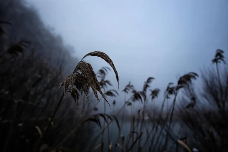 ČAROBNA PLITVIČKA JEZERA: Pogledajte kako na&scaron; najslavniji nacionalni park izgleda kad nije zatrpan turistima