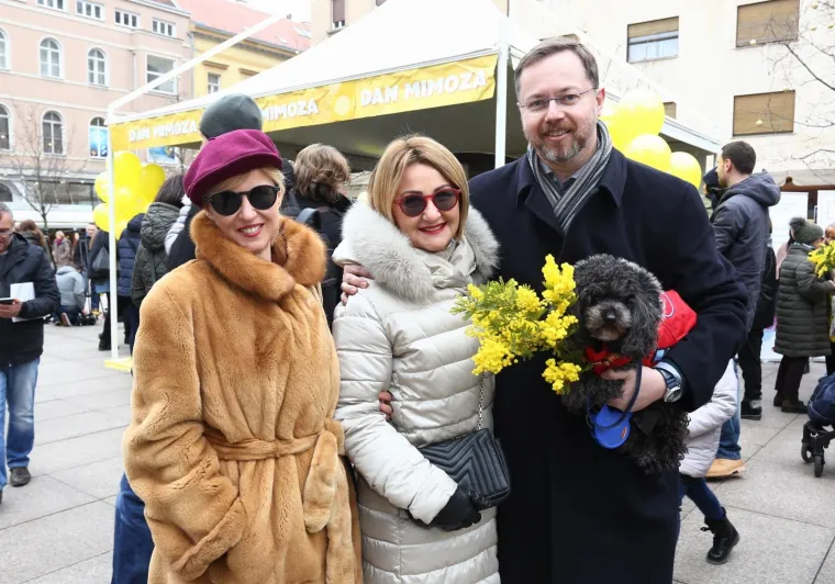 Obilježen Dan mimoza i Nacionalni dan borbe protiv raka vrata maternice diljem Hrvatske