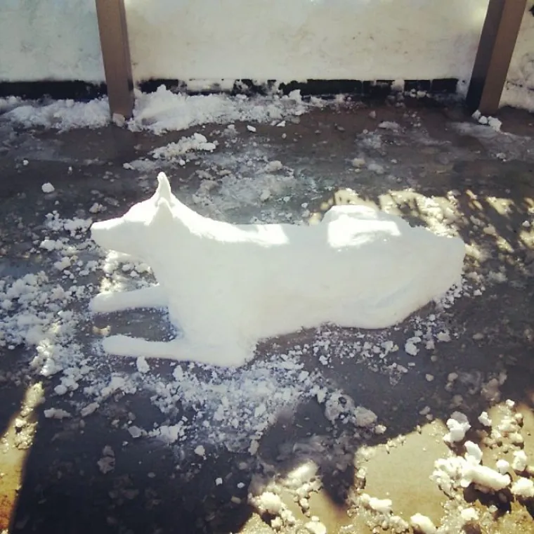 U Tokiju nije pao snijeg četiri godine. Kada se to sad napokon dogodilo, na ulicama je nastao kaos, ali domišljati stanovnici odlučili su ne gubiti živce , već se zabaviti onako kako se svi zabavljaju na snijegu. Bacili su se na stvaranje snjegovića, ali ne onih s mrkvom i metlom. Hej, ovo je Japan! Oni su ipak daleko napredniji od ostatka svijeta. Ove će vas skulpture u to uvjeriti (ako ste još sumnjali).