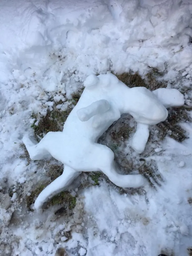 JAPANCI JEDVA DOČEKALI SNIJEG DA SE MOGU ISKAZATI: Zar ste mislili da najinovativnija nacija radi snjegoviće kao svi smrtnici?