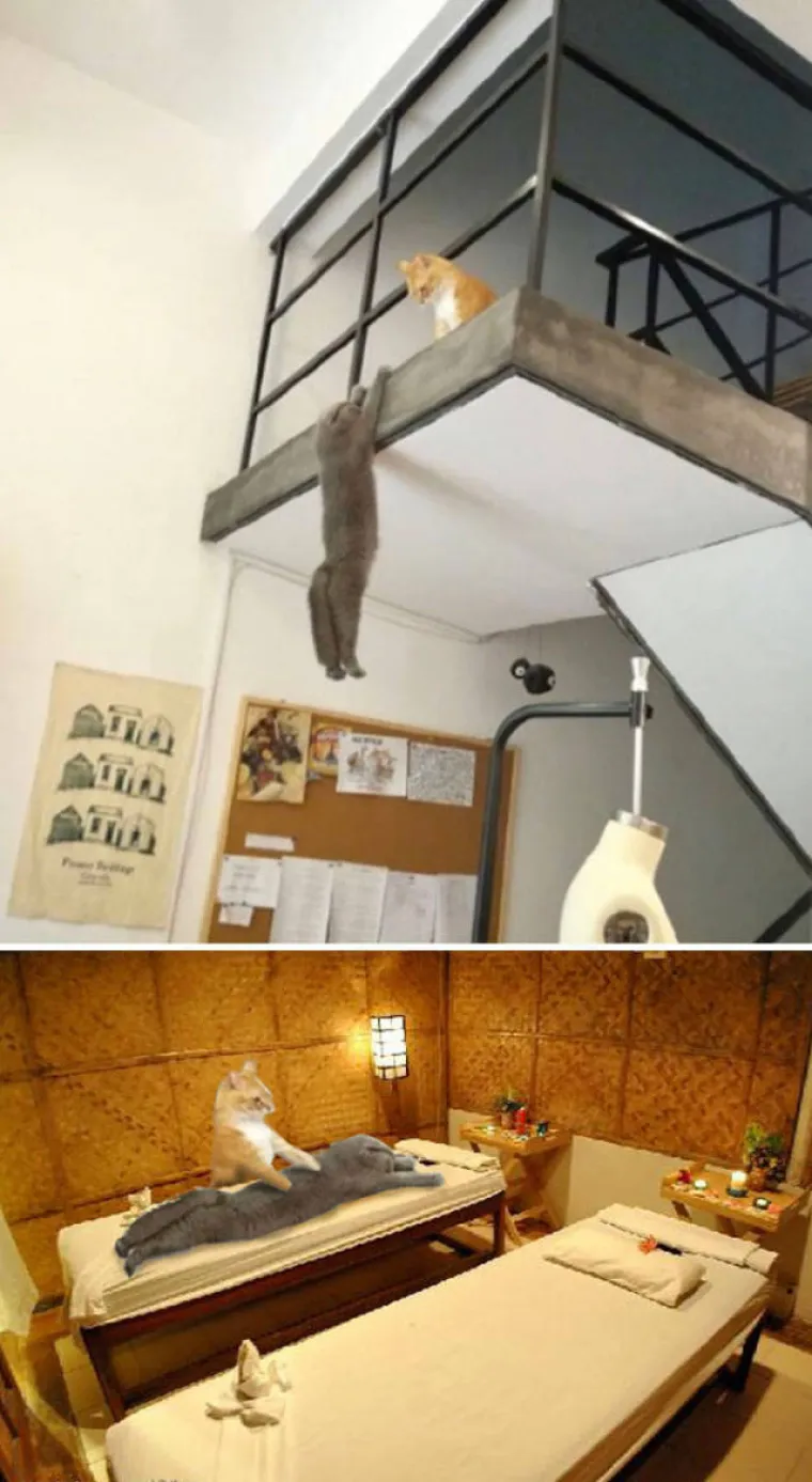 PRONAŠLI SLIKE IDEALNE ZA FOTOMONTAŽU I STVARNO SE ISKAZALI: Majstori Photoshopa pokazali kako se to radi