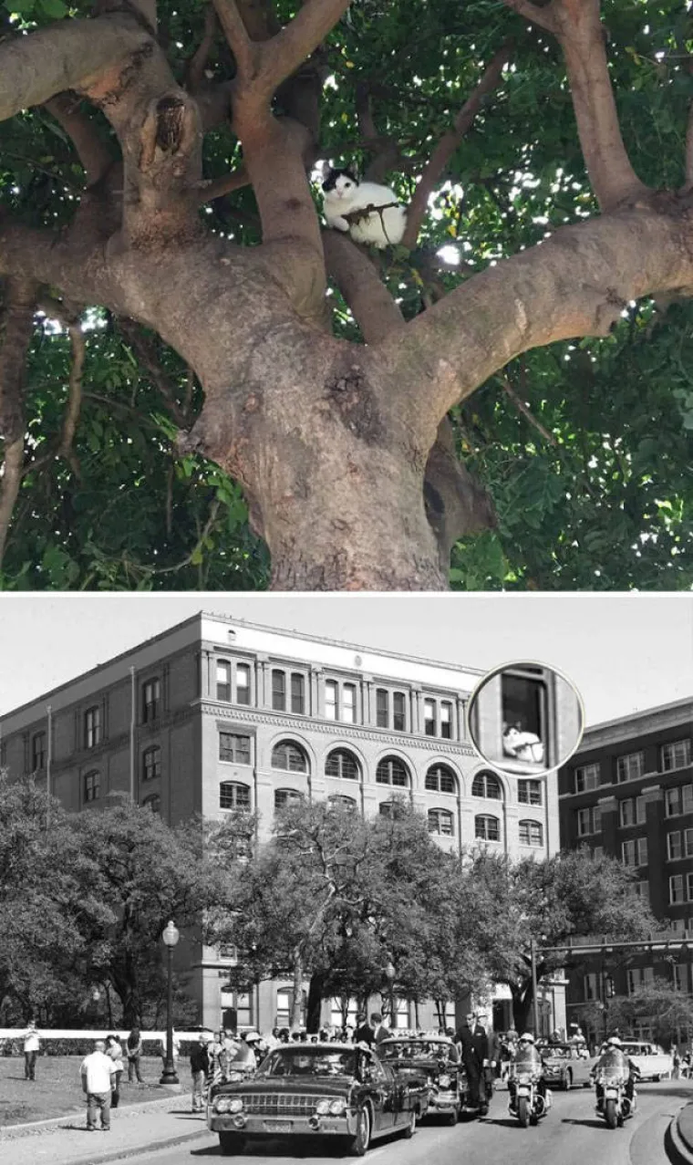 PRONAŠLI SLIKE IDEALNE ZA FOTOMONTAŽU I STVARNO SE ISKAZALI: Majstori Photoshopa pokazali kako se to radi