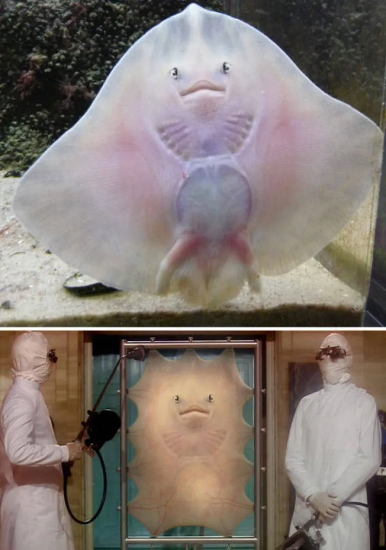 PRONA&Scaron;LI SLIKE IDEALNE ZA FOTOMONTAŽU I STVARNO SE ISKAZALI: Majstori Photoshopa pokazali kako se to radi