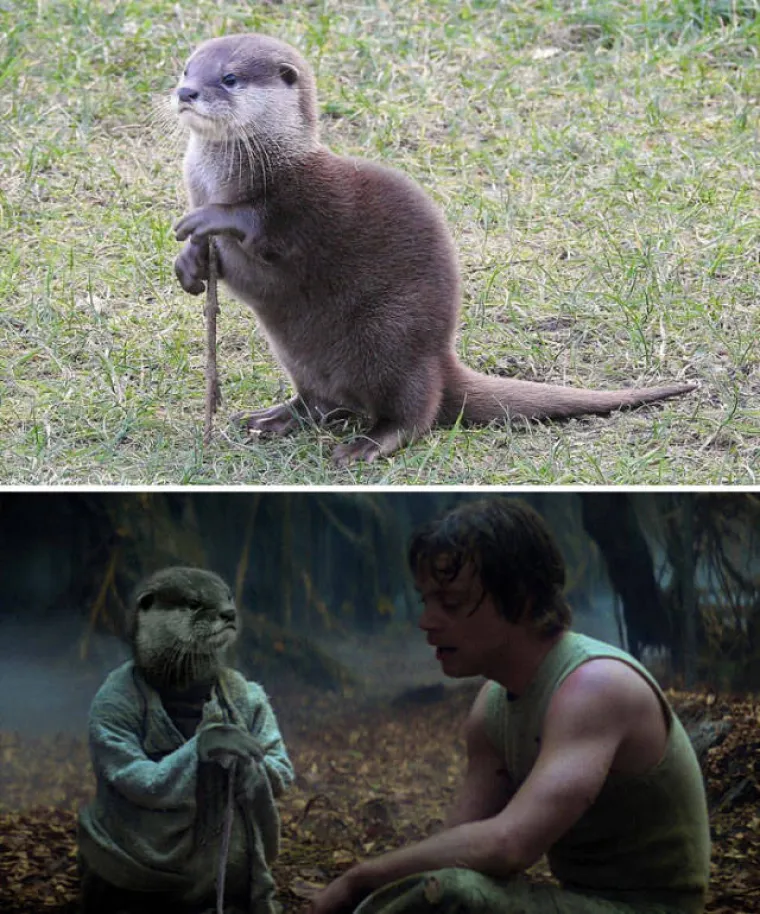 PRONA&Scaron;LI SLIKE IDEALNE ZA FOTOMONTAŽU I STVARNO SE ISKAZALI: Majstori Photoshopa pokazali kako se to radi