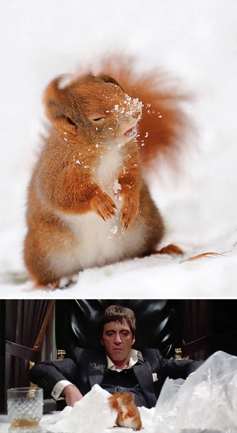 PRONA&Scaron;LI SLIKE IDEALNE ZA FOTOMONTAŽU I STVARNO SE ISKAZALI: Majstori Photoshopa pokazali kako se to radi