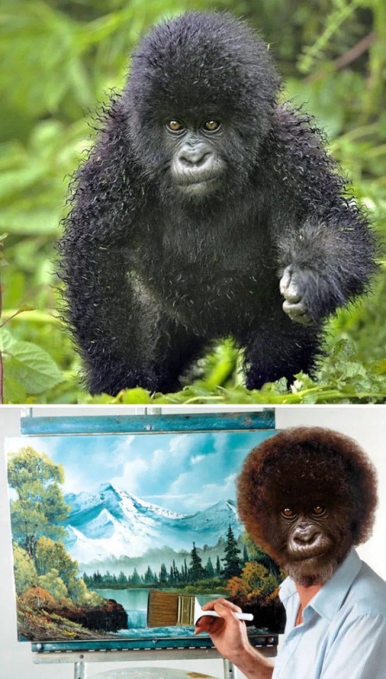 PRONA&Scaron;LI SLIKE IDEALNE ZA FOTOMONTAŽU I STVARNO SE ISKAZALI: Majstori Photoshopa pokazali kako se to radi