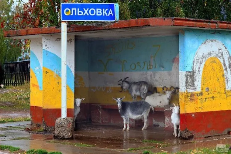 LUDI PRIZORI KOJE MOŽEMO VIDJETI SAMO U RUSIJI: Toliko čudaka na jednom mjestu, kako je to uopće moguće?