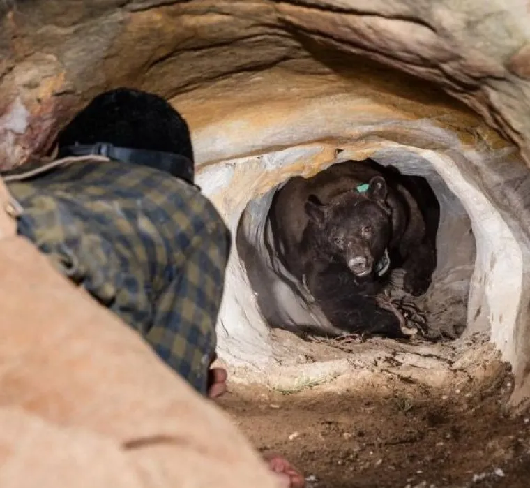 Ako mislite da vi imate lo&scaron; dan, pogledajte na&scaron;u fotogaleriju