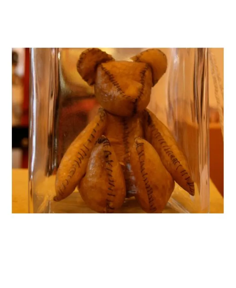 Nije proizvod, nego umjetničko dijelo ali je prebizarno da bi se zanemarilo.  Alex Green izrađuje medvjediće od ljudske posteljice koji &scaron;tavi solju, omek&scaron;a jajima i taninima, sa&scaron;ije u oblik medvjedića i potpom ispuni smeđom rižom.