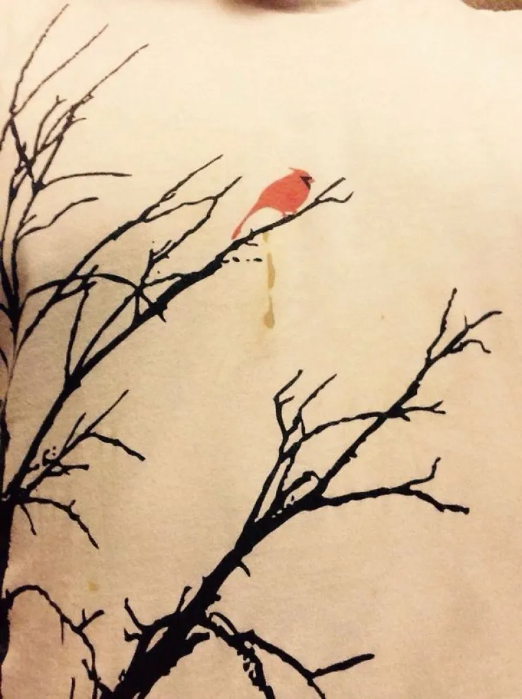 Prave majice u pravom trenutku: fotke koje će vas nasmijati do suza