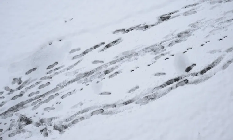 Zagreb: Građane jutros dočekao bijeli pokrivač debljine 10 centimetara