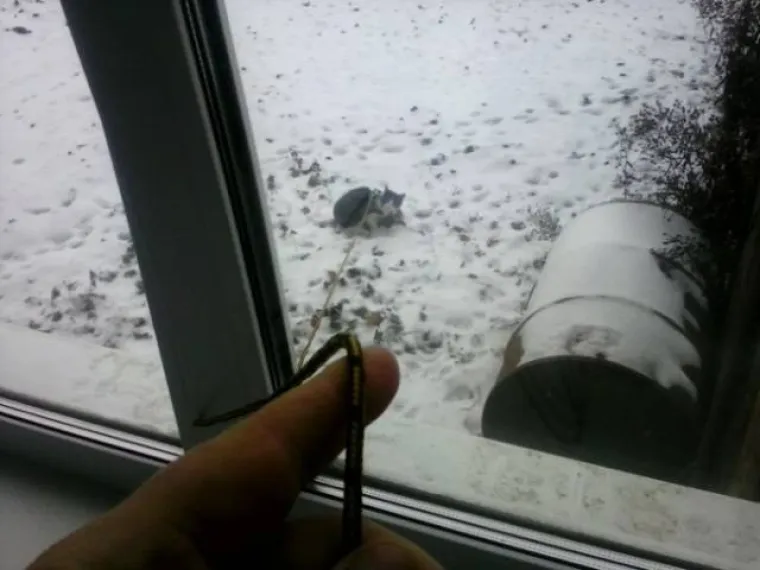 TANKA JE GRANICA IZMEĐU LIJENČINA I GENIJALACA: Toliko su se ulijenili da su postali pravi izumitelji