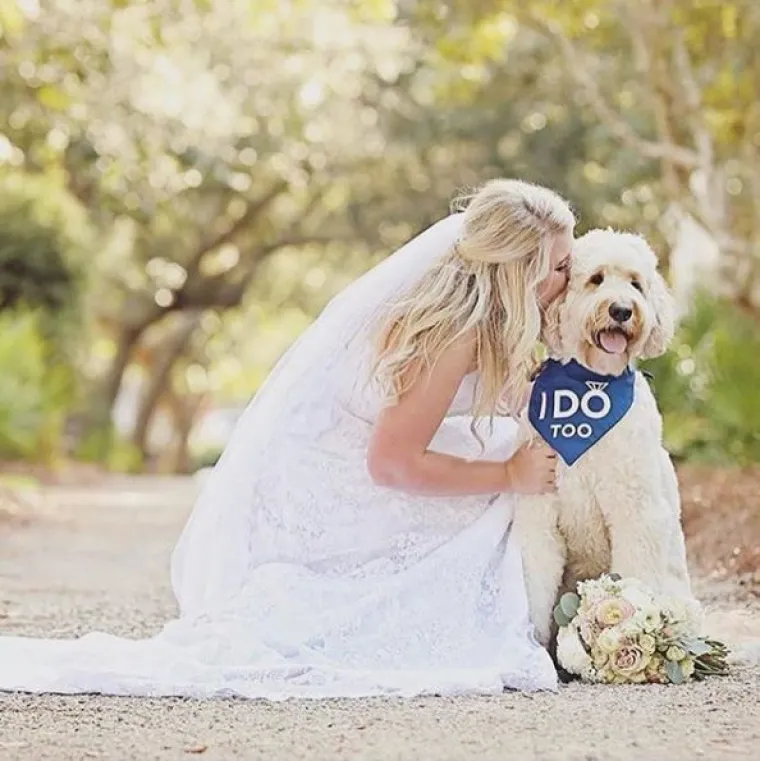 Kako 'uklopiti' psa u vjenčanje? Ovi parovi prona&scaron;li su način i rezultati su očaravajući