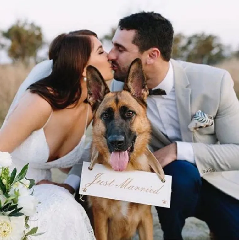 Kako 'uklopiti' psa u vjenčanje? Ovi parovi prona&scaron;li su način i rezultati su očaravajući