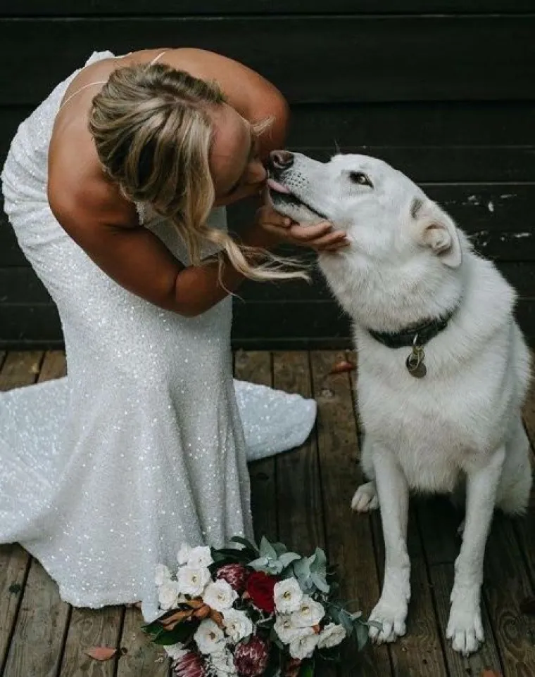 Kako 'uklopiti' psa u vjenčanje? Ovi parovi prona&scaron;li su način i rezultati su očaravajući