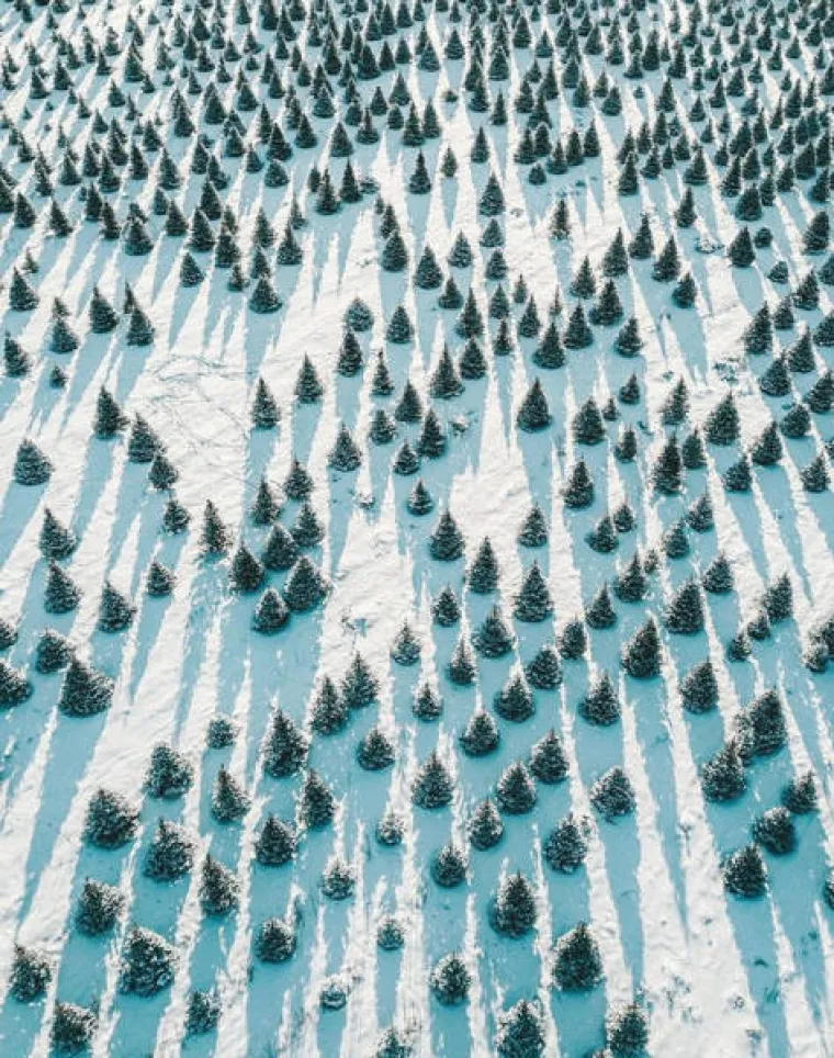 FOTOGRAFIJE KOJE IMAJU ČAROBNU MOĆ: Ovi prizori navodno smiruju i popravljaju raspoloženje, djeluju li i na vas?