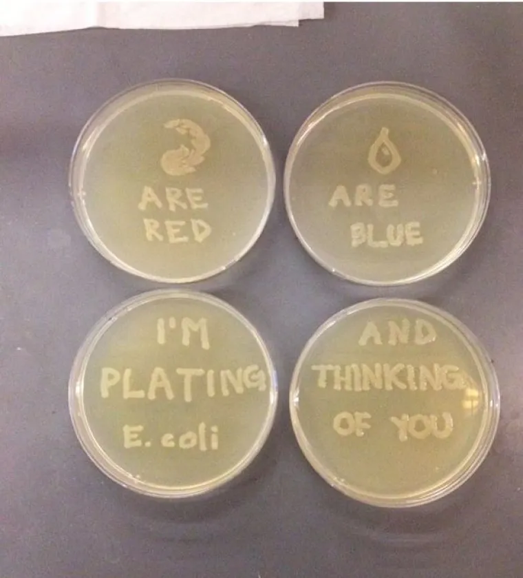 Umjesto čestitki, buketa i  čokolade, ovi su ljudi učinili Valentinovo puno zabavnijim!