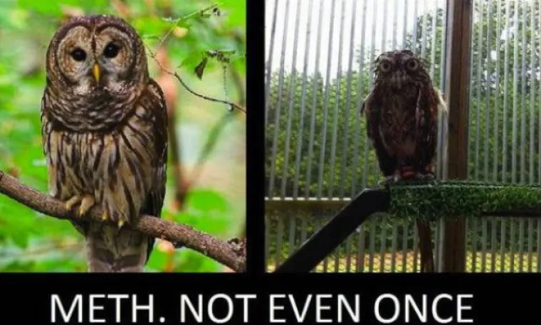 DJECO, KLONITE SE DROGE, POSLJEDICE SU UZNEMIRUJUĆE: Internet se dobro zabavlja apsurdnim oglasima protiv droge