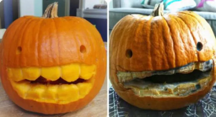 DJECO, KLONITE SE DROGE, POSLJEDICE SU UZNEMIRUJUĆE: Internet se dobro zabavlja apsurdnim oglasima protiv droge