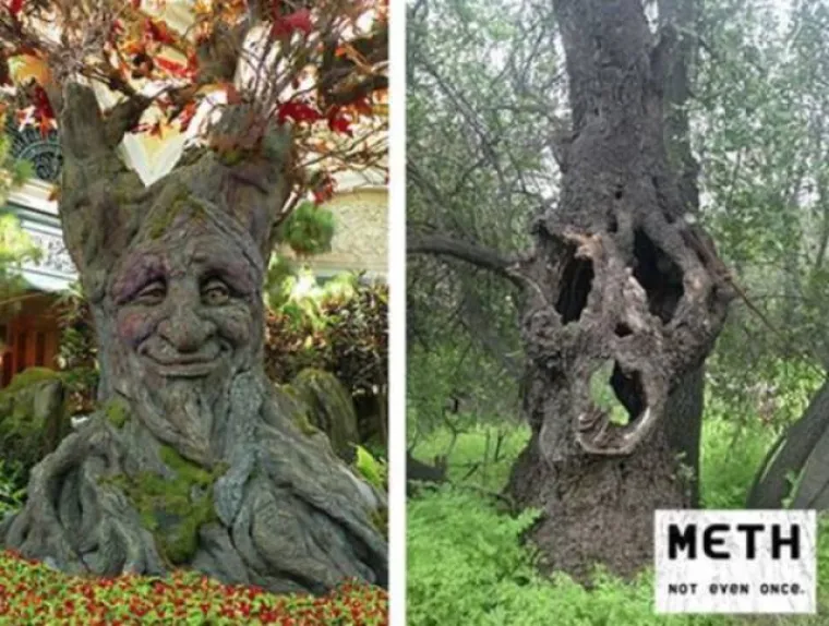 DJECO, KLONITE SE DROGE, POSLJEDICE SU UZNEMIRUJUĆE: Internet se dobro zabavlja apsurdnim oglasima protiv droge