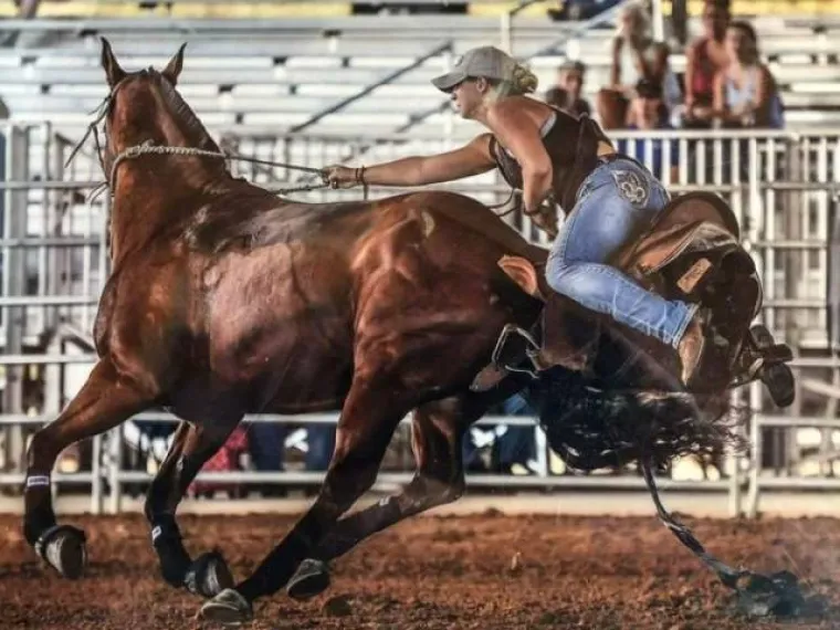 JESU LI IH USLIKALI U PRAVOM ILI KRIVOM TRENUTKU? Urnebesni prizori nastali kada su to najmanje očekivali