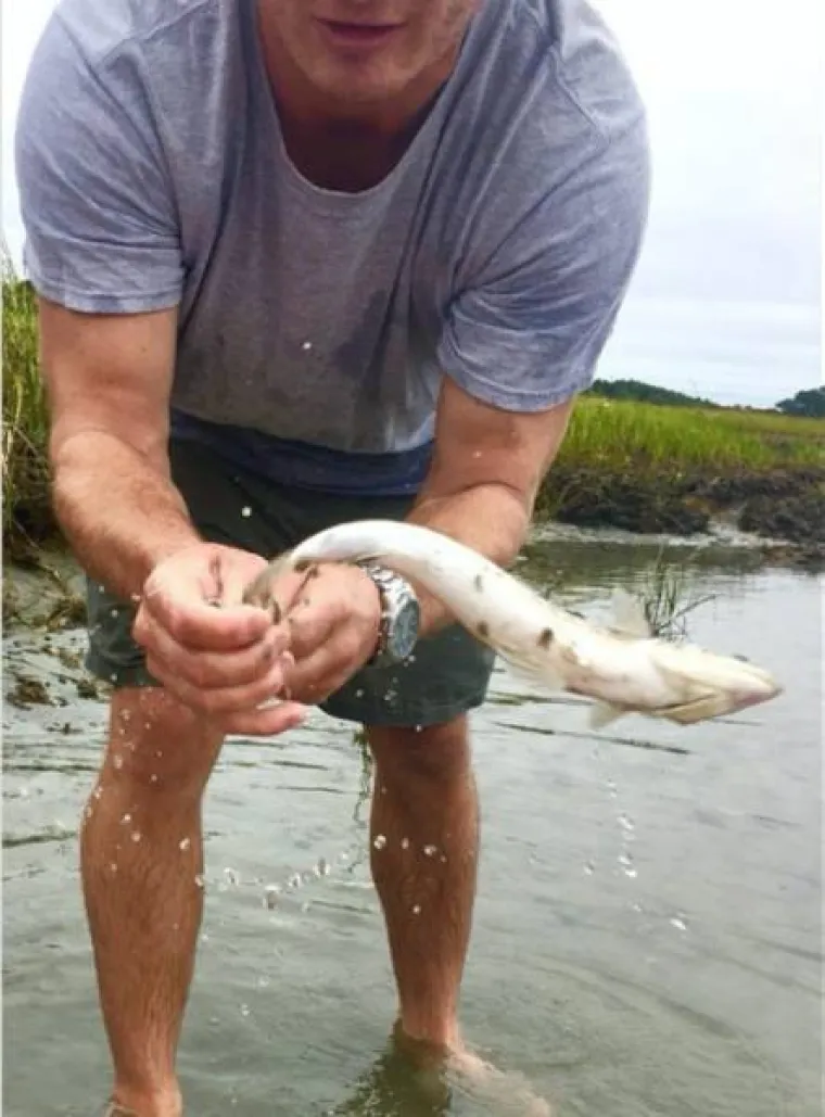 JESU LI IH USLIKALI U PRAVOM ILI KRIVOM TRENUTKU? Urnebesni prizori nastali kada su to najmanje očekivali