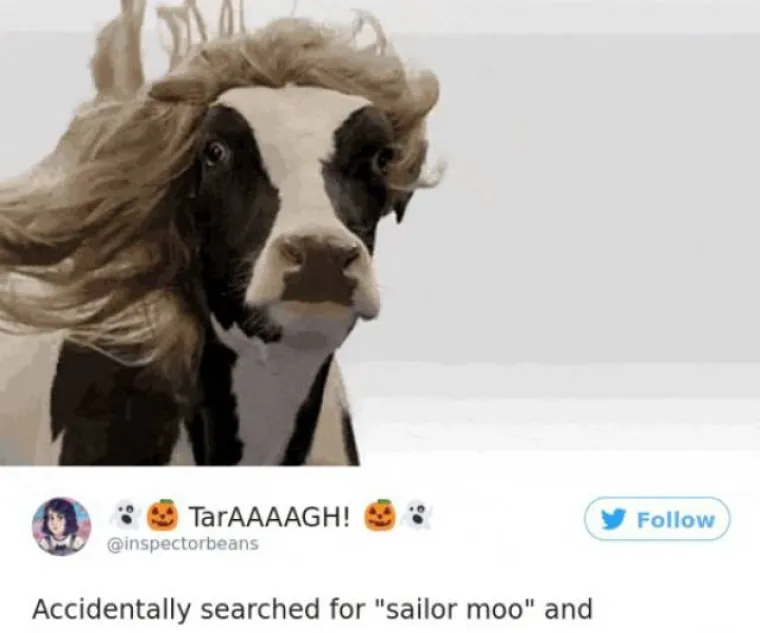 PAZITE &Scaron;TO UPISUJETE U GOOGLE: Oni su pogrije&scaron;ili pa su dobili uznemirujuće, ali i urnebesne rezultate