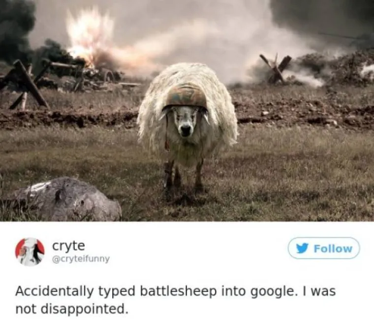 PAZITE &Scaron;TO UPISUJETE U GOOGLE: Oni su pogrije&scaron;ili pa su dobili uznemirujuće, ali i urnebesne rezultate