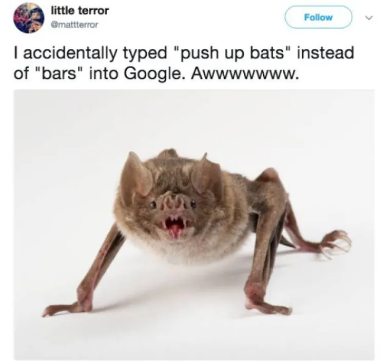 PAZITE &Scaron;TO UPISUJETE U GOOGLE: Oni su pogrije&scaron;ili pa su dobili uznemirujuće, ali i urnebesne rezultate