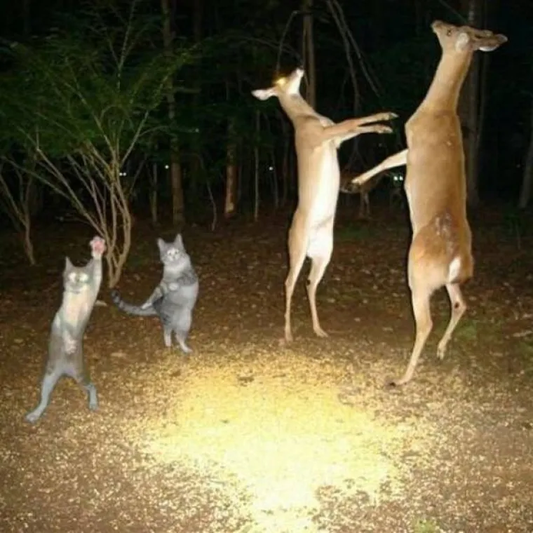 Prizore iz galerije stvarno je te&scaron;ko objasniti, ali uvijek možete poku&scaron;ati. Bizarnu stranu svakodnevice svakako pogledajte u nastavku, a ako mislite da ste vidoviti ili imate uvid u mračne tajne ljudskog uma, poku&scaron;ajte ih i objasniti.