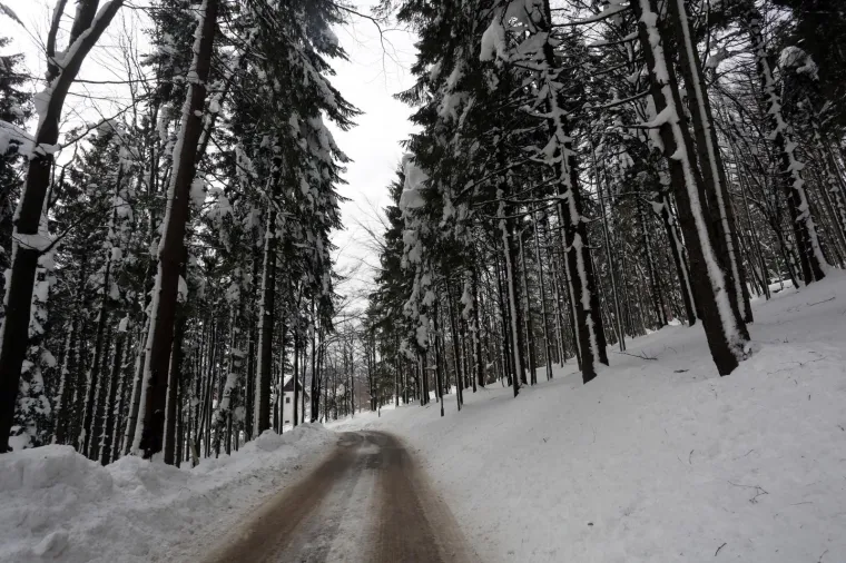 U većem dijelu zemlje u utorak je pao snijeg zbog čega se stvorio snježni pokrivač. - Risnjak