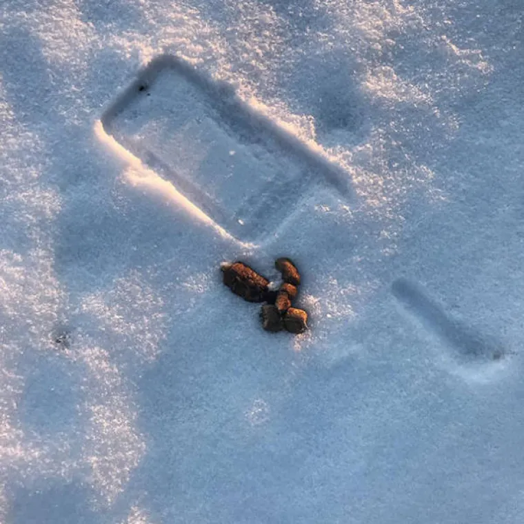 SVAKODNEVICA JE PUNA SITUACIJA OPASNIH PO ŽIVOT: Naučili na težak način da nezgoda čeka iza svakog ugla